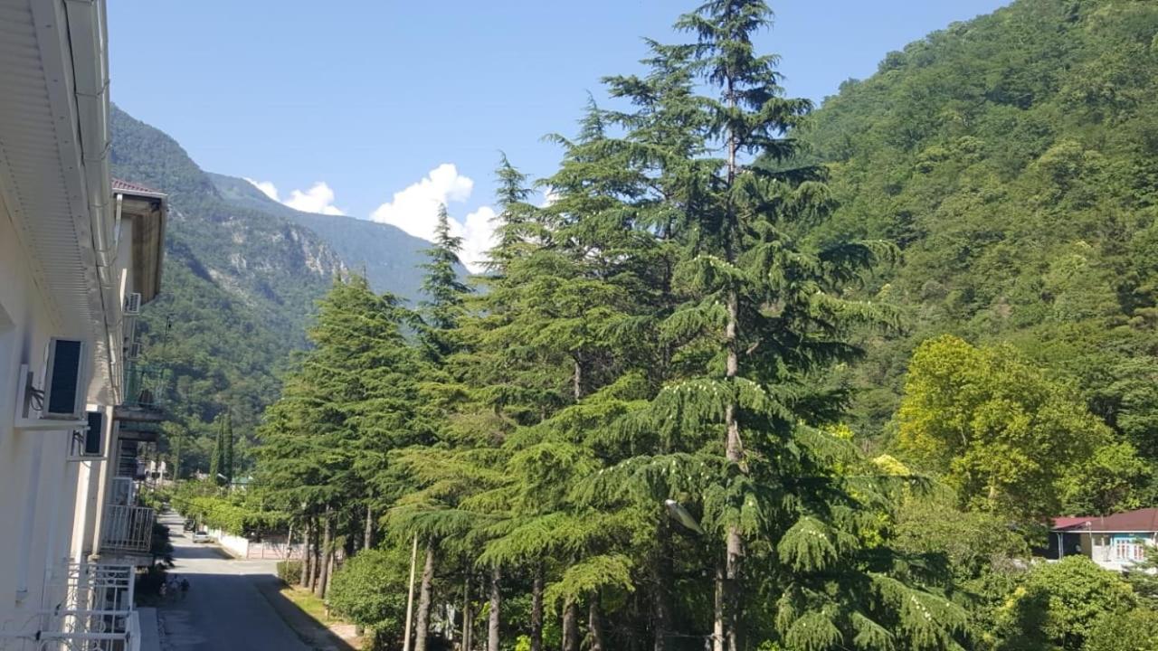 Guest House Gorny Ruchei Gagra Exterior foto